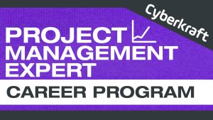 Project Management Expert Graphic